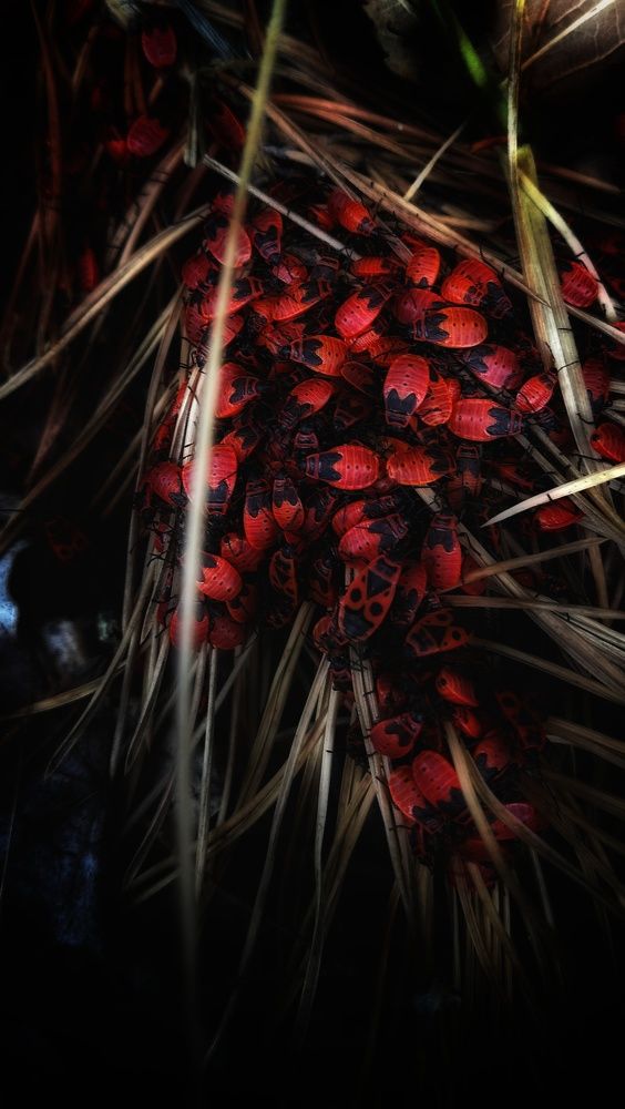 Photo #5583469