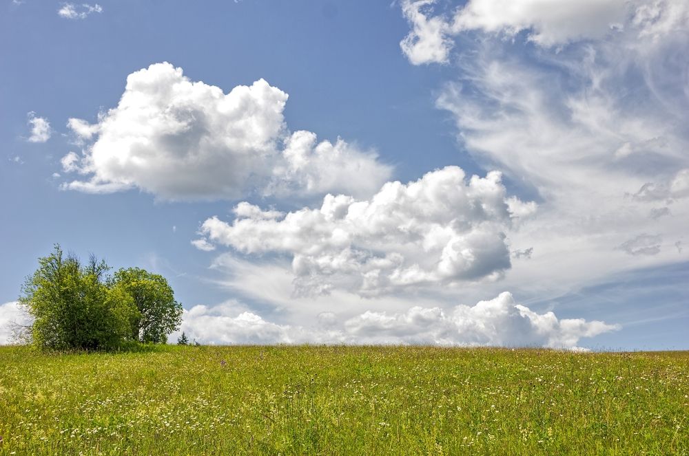 Летний день.
