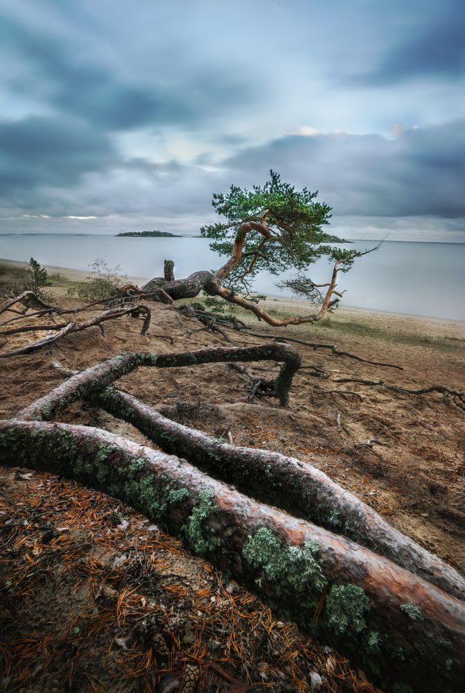 Photograph by Михаил Харитонычев