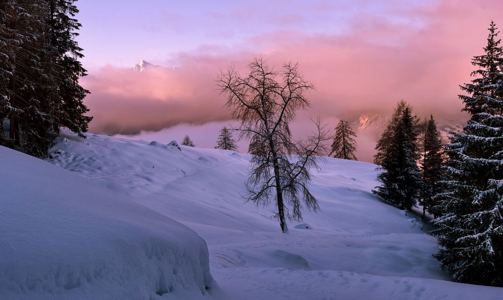 Photograph by Elena Wymann