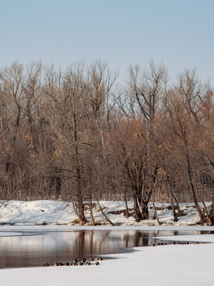 Photograph by Светлана Шибаршина