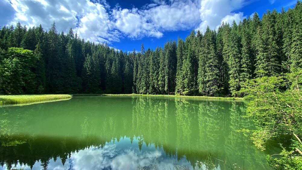 Tranquility