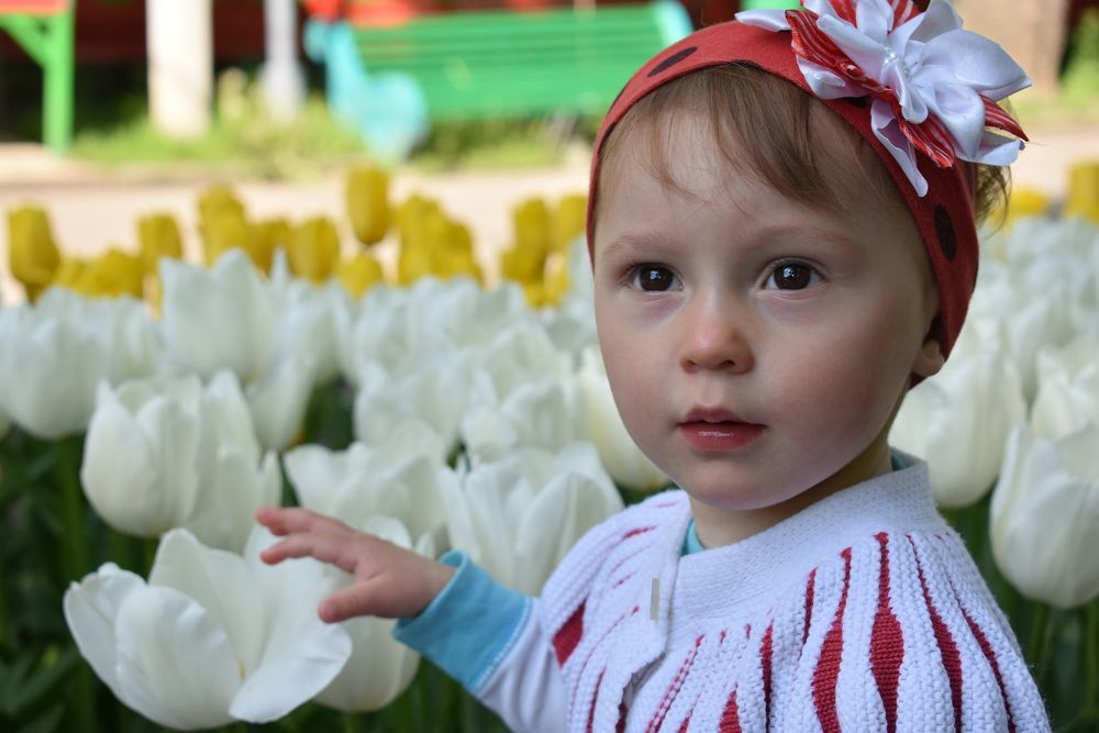 Фотография автора Ира Куприянова