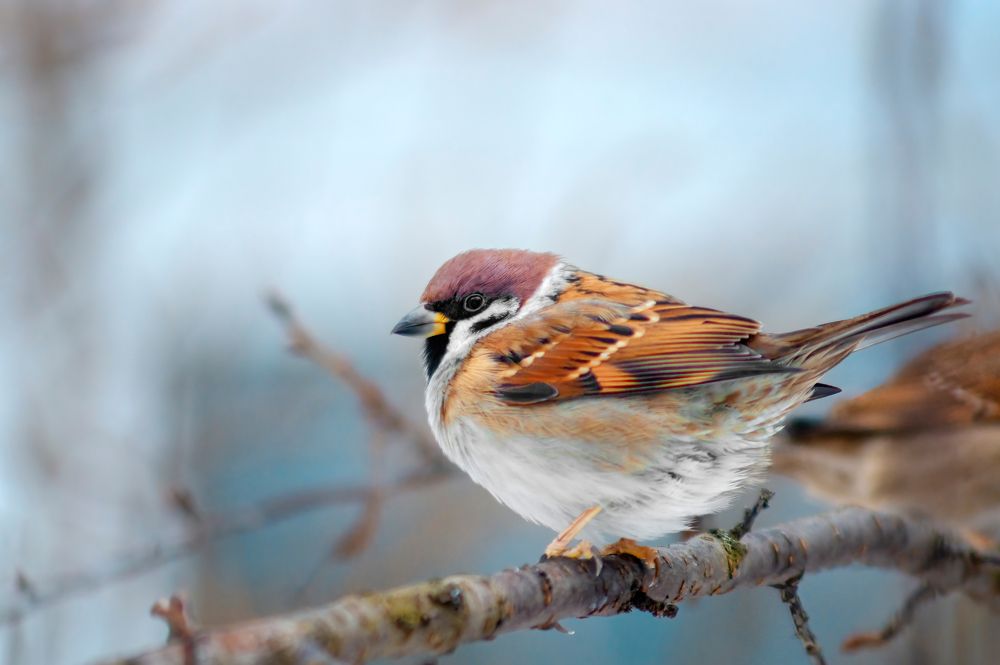 Photograph by Александр Соловьев