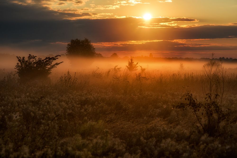 Фотография автора Юрий Юрьев