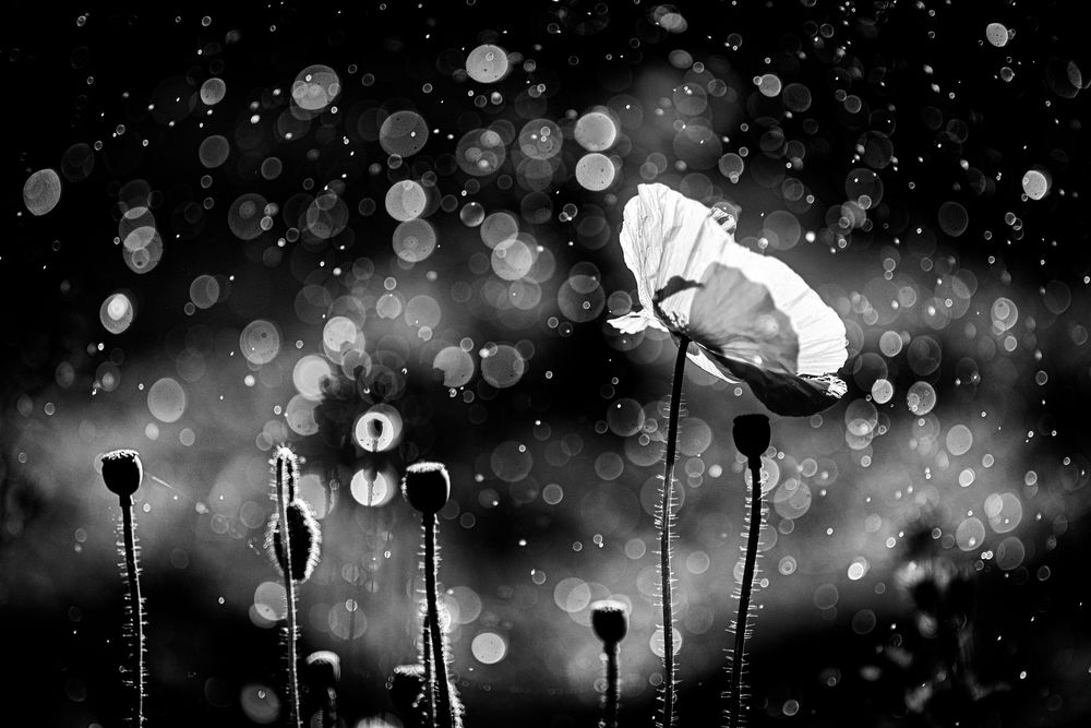 Фотография автора Юрий Юрьев