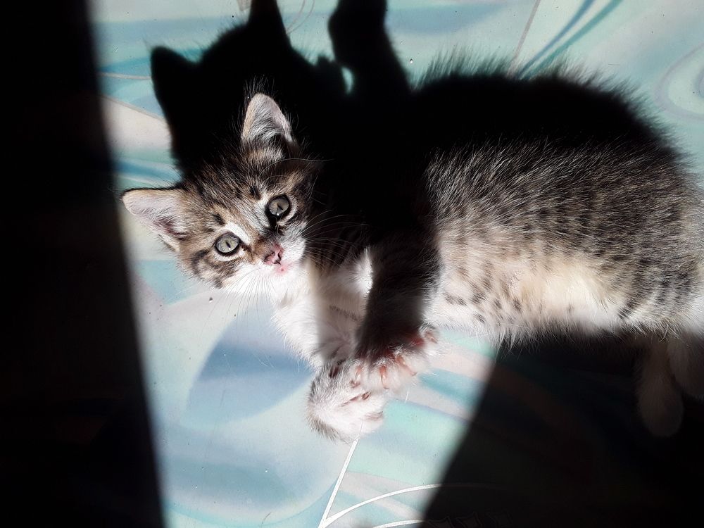 Photograph by Татьяна Собенникова