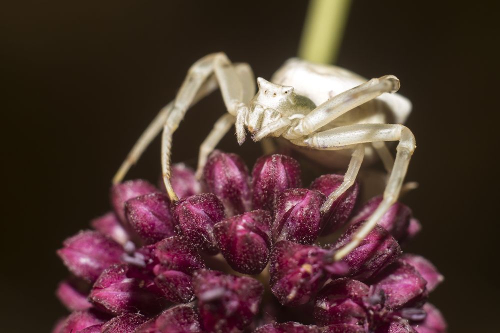 Photograph by Дина Горбачёва