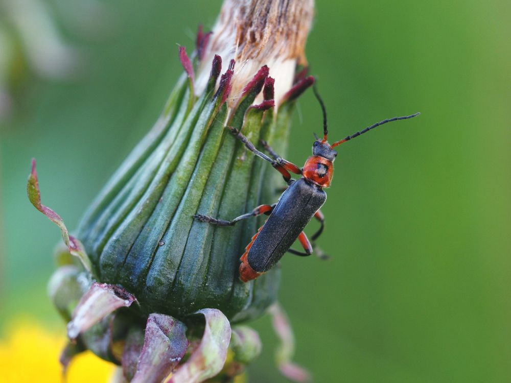 Photograph by Артем Харисов