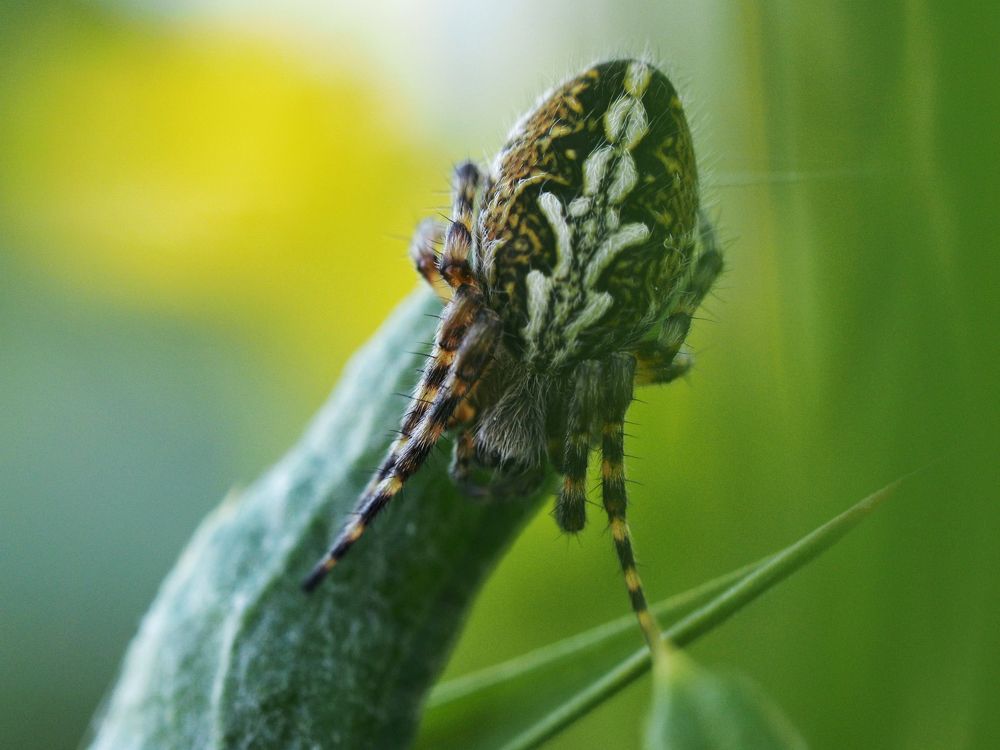 Photograph by Артем Харисов