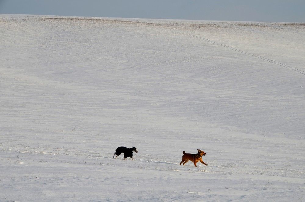Photograph by Ann Stodolskaya