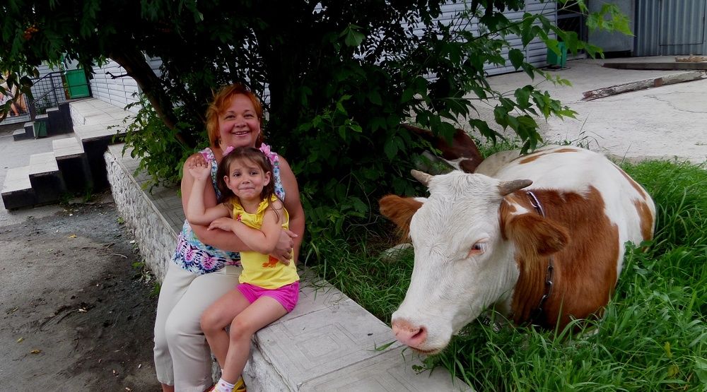 СВЯЩЕННАЯ КОРОВА