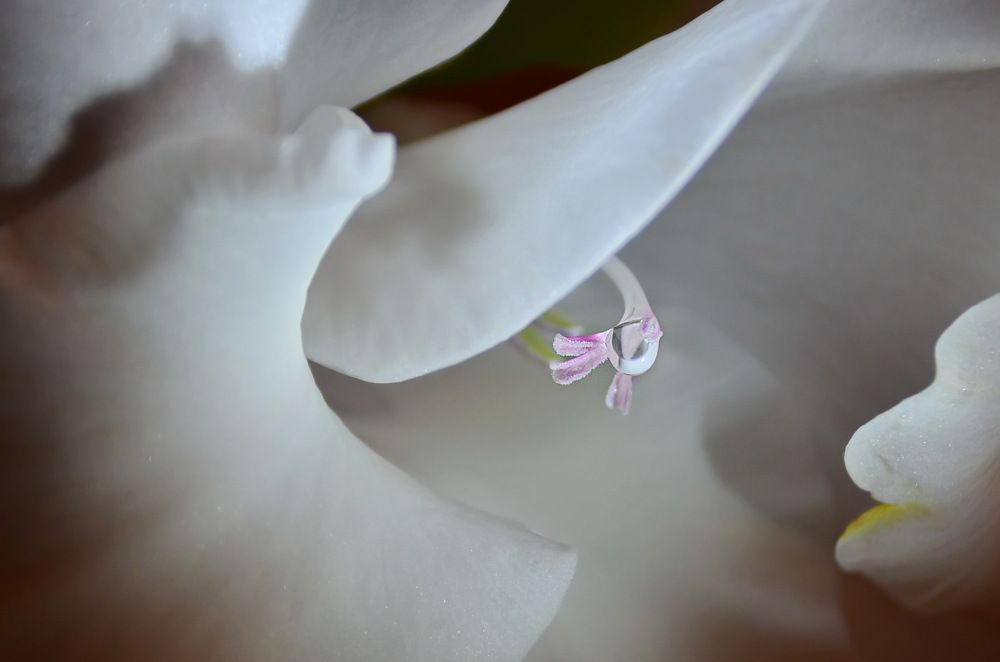Photograph by 