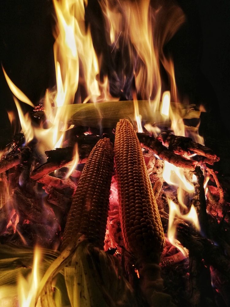 Photograph by Simeon Metodiev