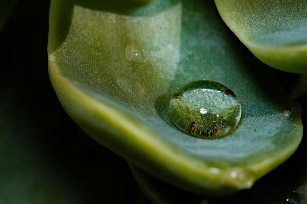 Water ... Source of life