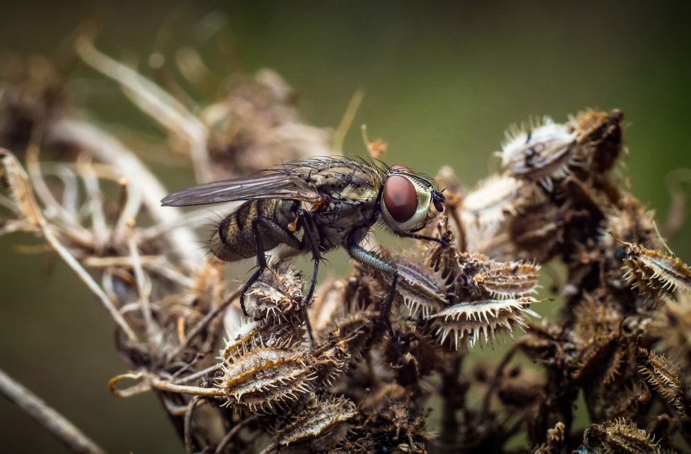 Photograph by Юрій Насанюк