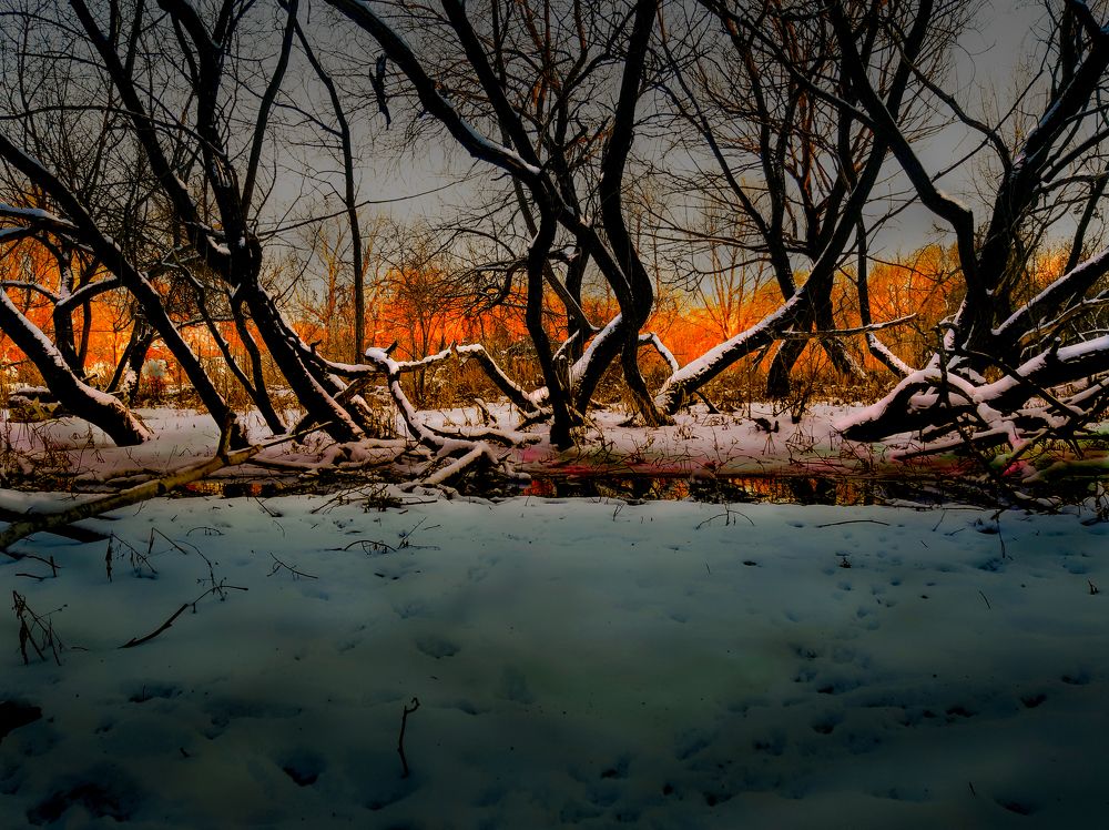 Чла. Пойма. Заброшенный ручей