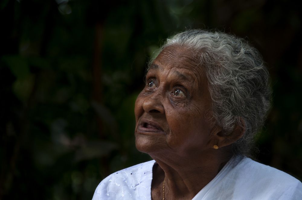 Photograph by Chamara Sulakkhana Polwatta Siriyalage