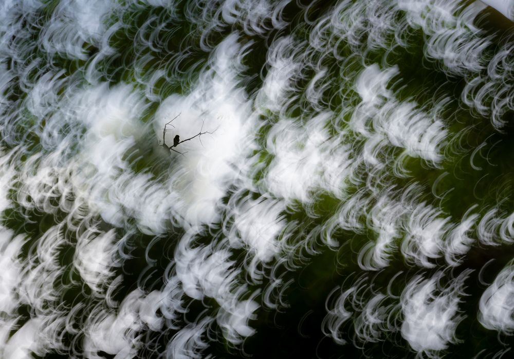 Photograph by Ramesh karmakar