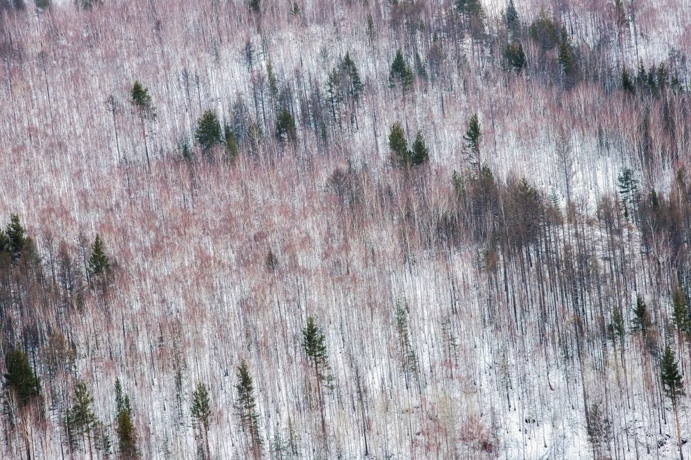 Photograph by Алексей Мараховец