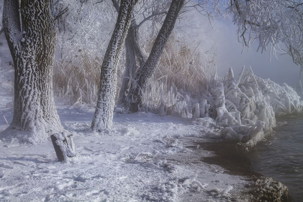 Зимние сказки !