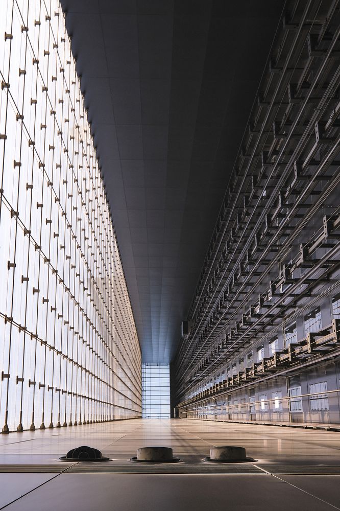 Photograph by Ofer Rosner