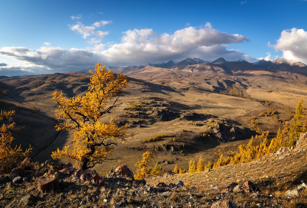Курайский хребет в октябре