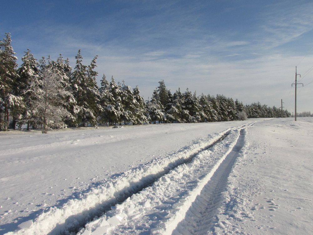 Photo #5584461