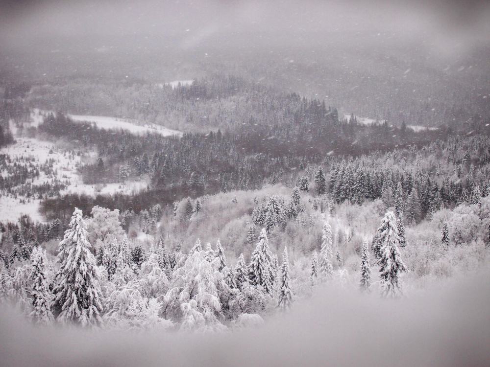 Photograph by Евгений Лямин