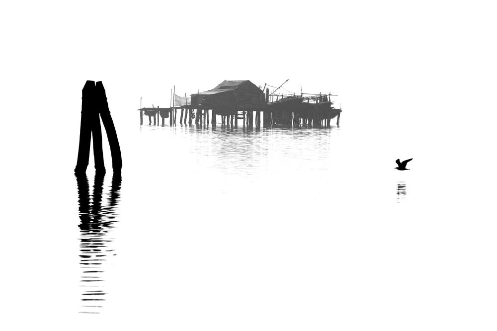 Photograph by damiano pignatti