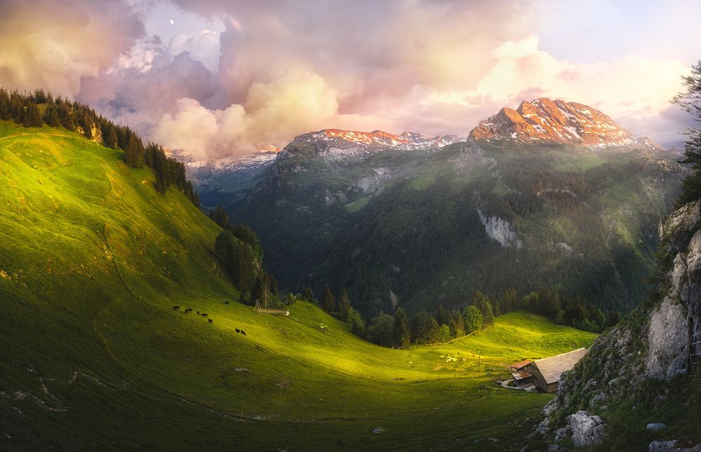 Фотография автора alexander forst