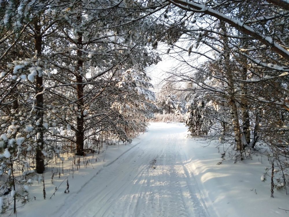 Photograph by Светлана