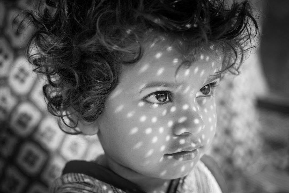 Photograph by Priyesh kumar