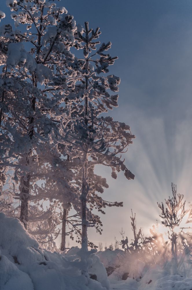Photograph by Анастасия Курская