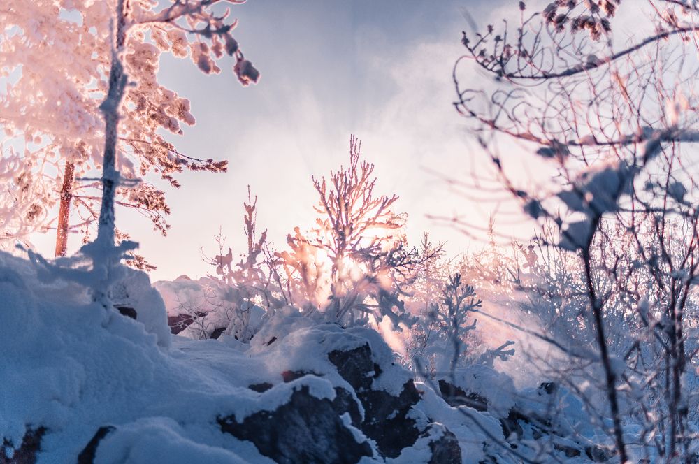 Photograph by Анастасия Курская