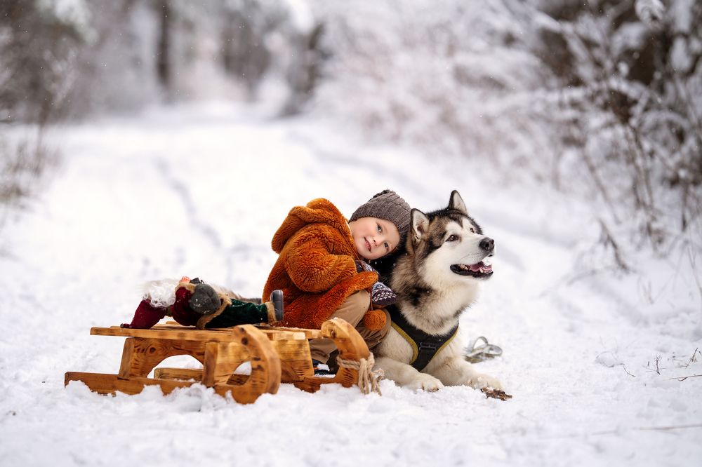Photograph by Анна Орловская