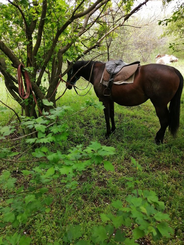 Photograph by Анна Володина