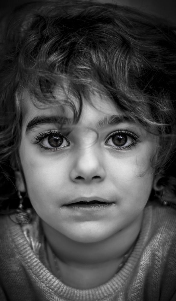 Фотография автора Z Fatemi