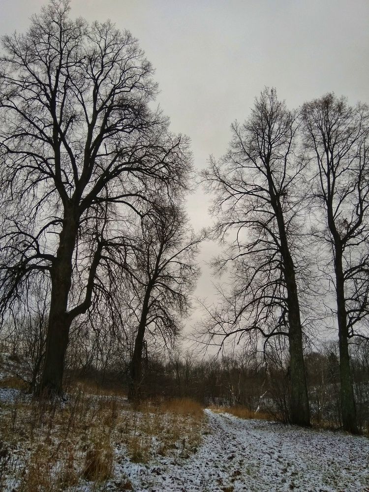 Фотография автора Виктор Конев