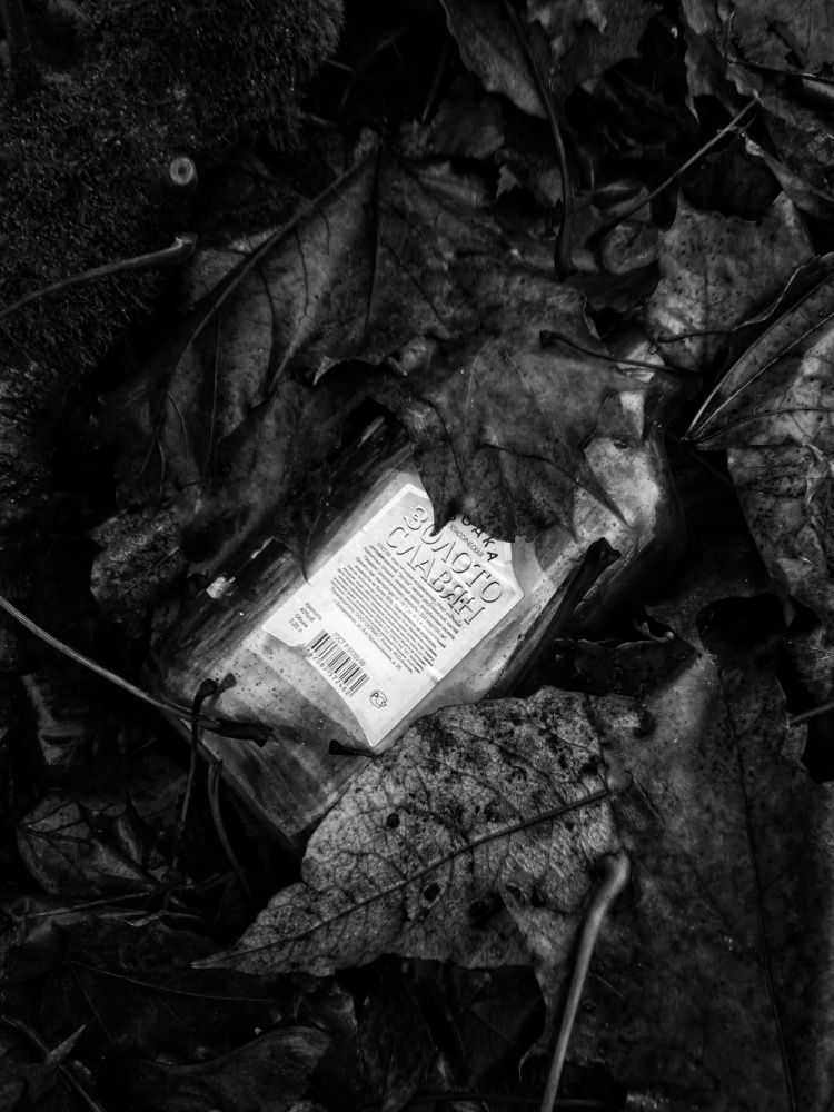 Фотография автора Виктор Конев