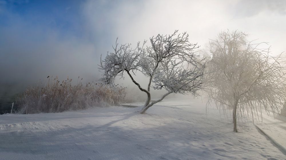 Зимнее утро