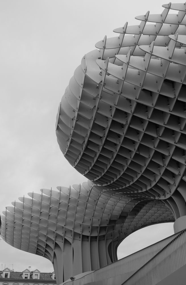 Photograph by CARMEN RAMON CAMI