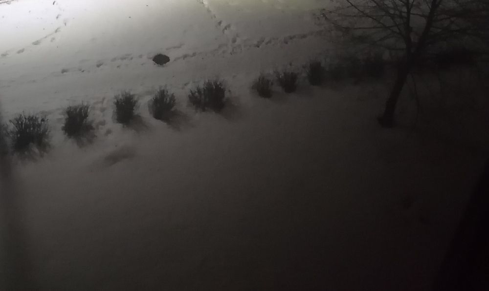 Фотография автора Оксана Зеленко