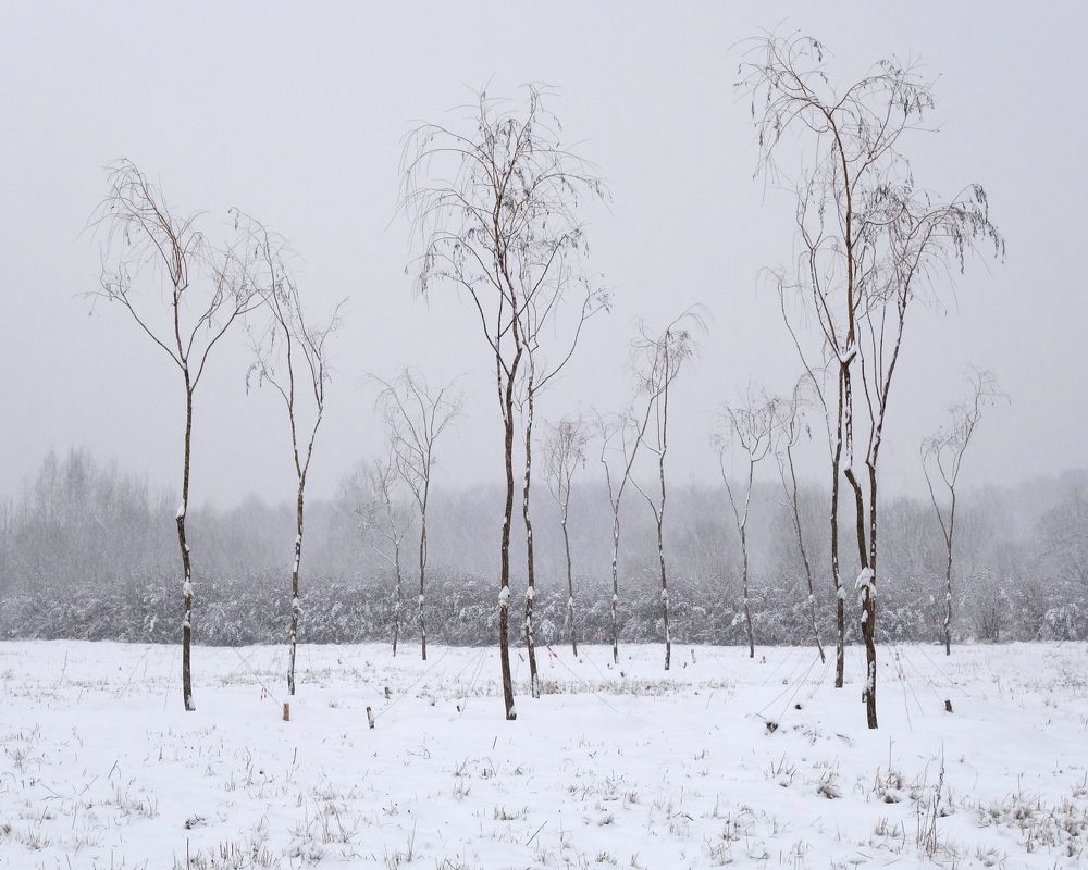 первый снег