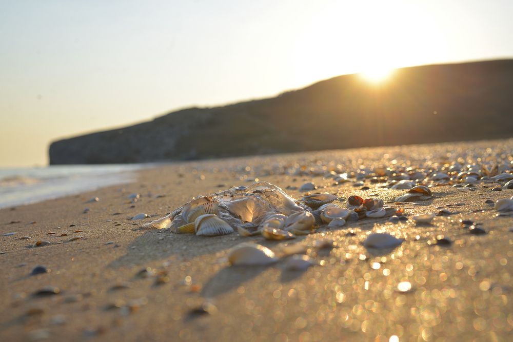 Photograph by Вячеслав Ивахненко