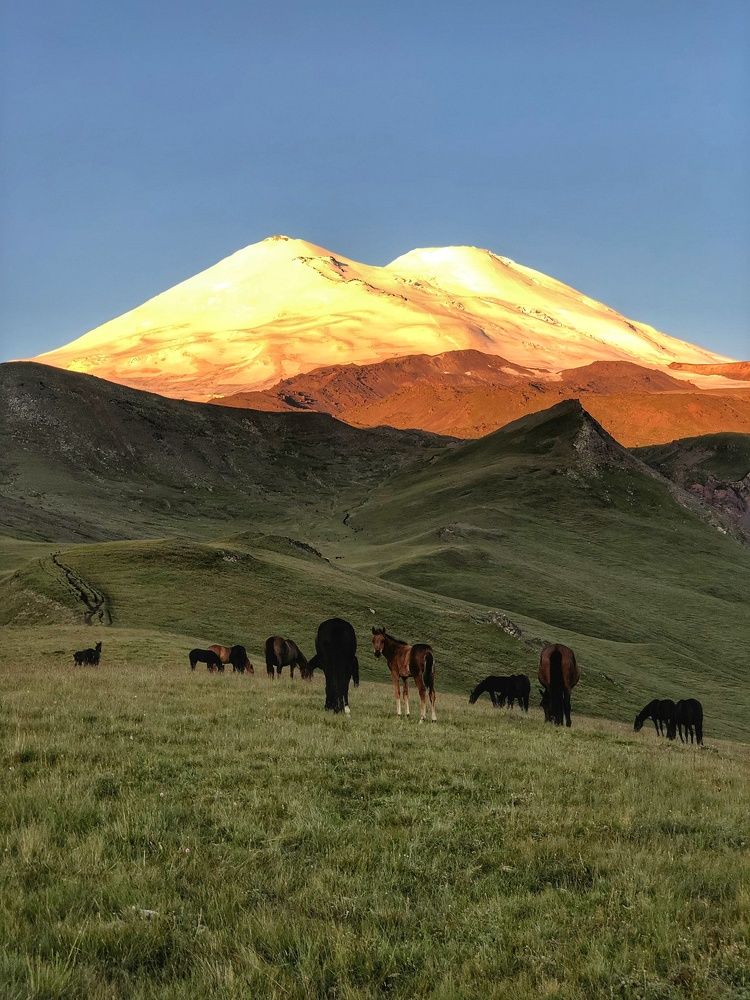 Рассветный Эльбрус.