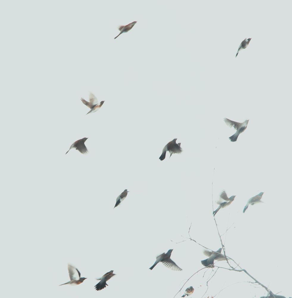 Photograph by Галина Васютенко