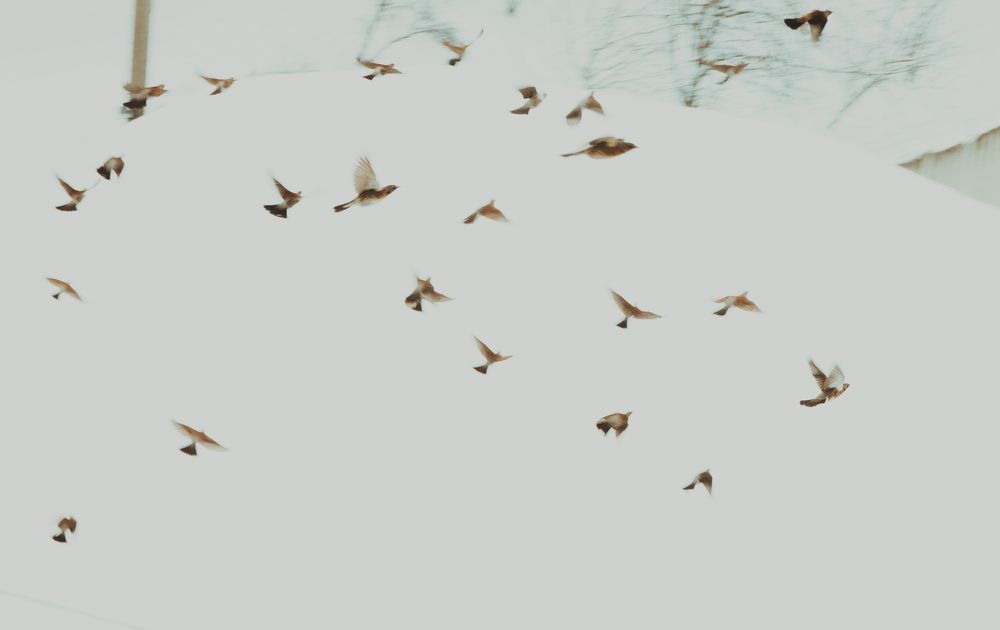 Photograph by Галина Васютенко