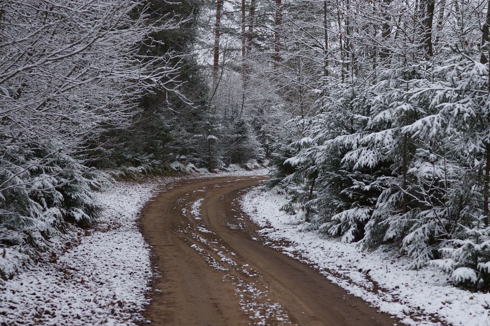 Photograph by Артём Зотин