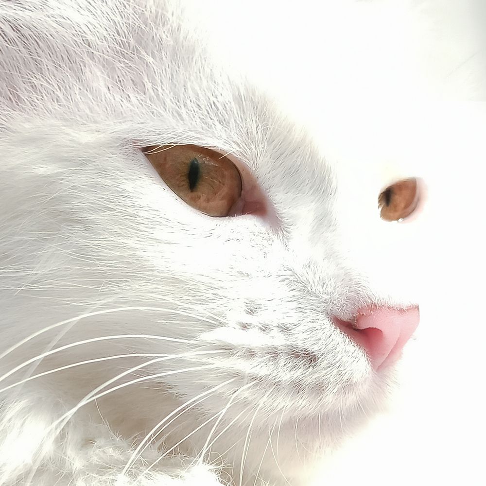 Photograph by Марина Суворова